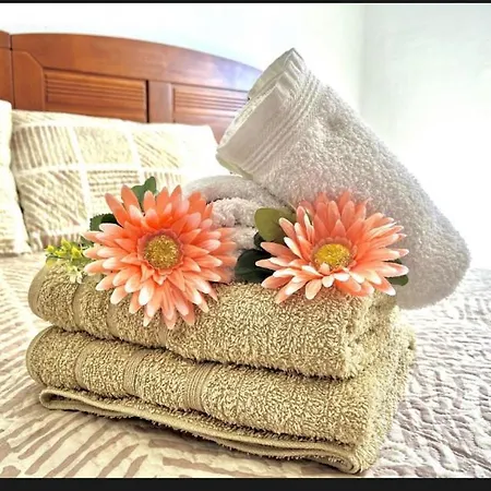 Apartment Fabi *